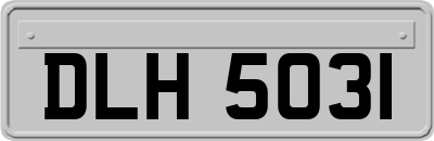 DLH5031