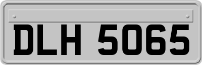 DLH5065