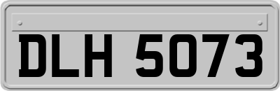 DLH5073