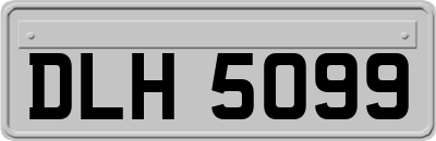 DLH5099