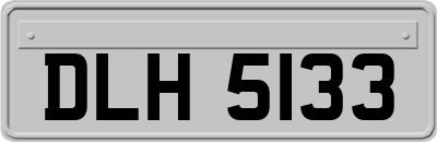 DLH5133