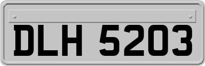 DLH5203