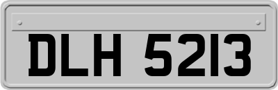 DLH5213