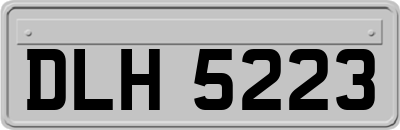 DLH5223