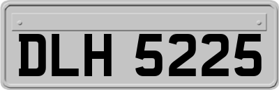 DLH5225