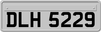 DLH5229