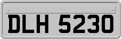 DLH5230