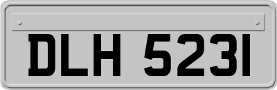 DLH5231