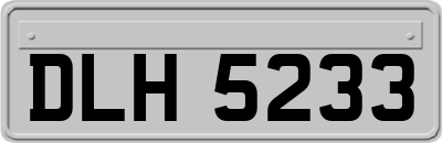 DLH5233