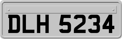 DLH5234