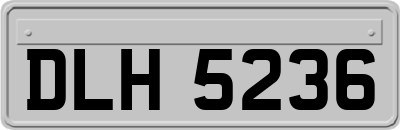 DLH5236