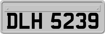 DLH5239