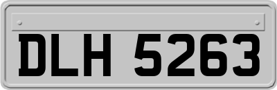 DLH5263