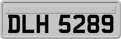 DLH5289