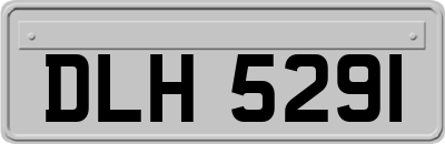 DLH5291
