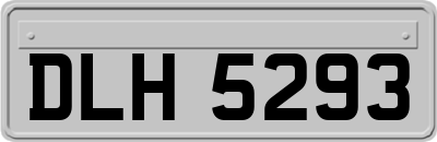 DLH5293