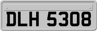DLH5308