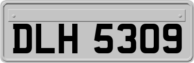 DLH5309