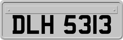 DLH5313