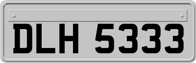 DLH5333