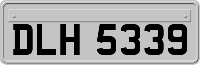 DLH5339