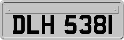 DLH5381