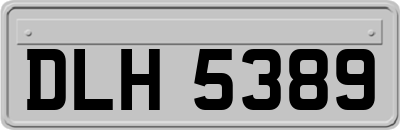 DLH5389