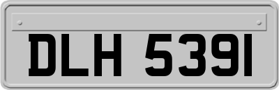 DLH5391