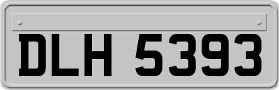 DLH5393