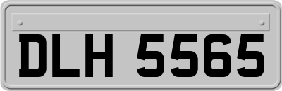 DLH5565