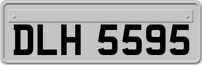 DLH5595
