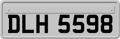 DLH5598