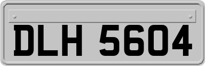 DLH5604