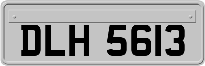 DLH5613