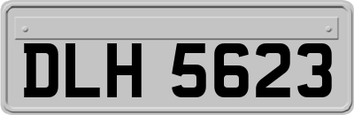 DLH5623