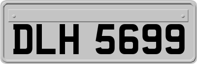 DLH5699