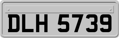 DLH5739