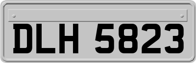 DLH5823