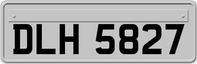 DLH5827