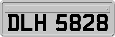 DLH5828