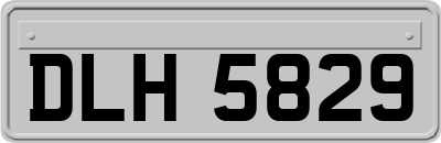 DLH5829