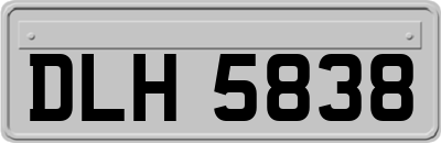 DLH5838