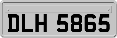 DLH5865