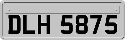 DLH5875