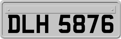 DLH5876