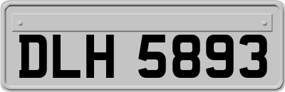 DLH5893