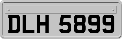 DLH5899