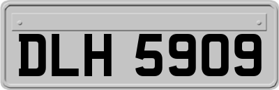 DLH5909