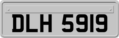 DLH5919