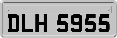DLH5955